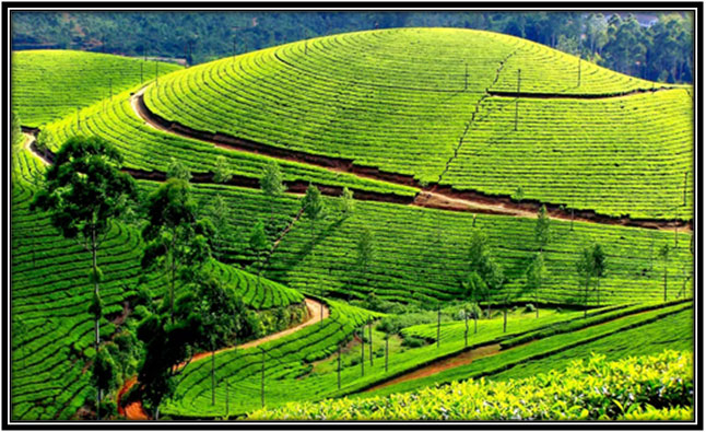Kerala - the land of gods